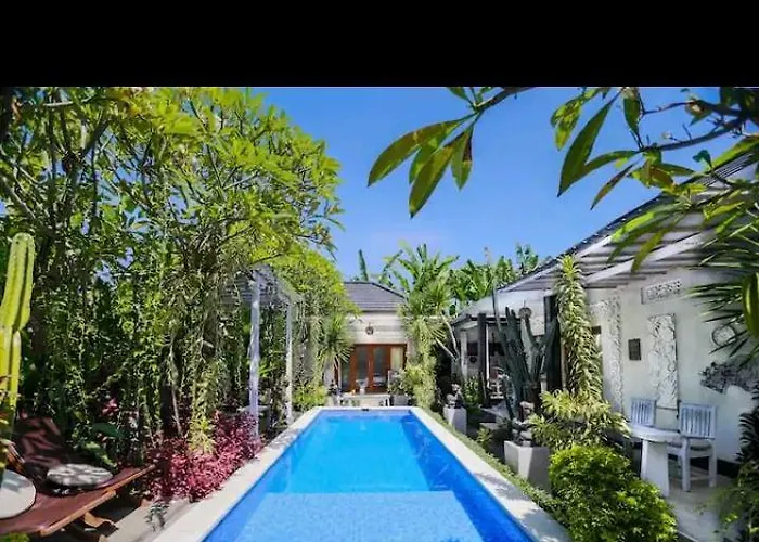 House Villa Lovina
